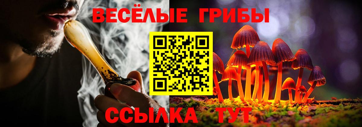 Галлюциногенные грибы ЛСД Ногинск